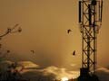 Reliance Communications tower arm in advanced talks for infra sharing deal