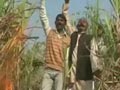 यूपी : कर्ज में डूबे गन्ना किसान ने की आत्महत्या