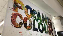 Pop Bang Colour: Painting With Cars