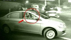 Lady Faints at Traffic Light Spots Cat Driving a Car!