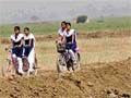 Differences over making drug test in Punjab school-colleges mandatory