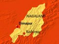 दीमापुर में सेना का 'चीता' हेलीकॉप्टर दुर्घटनाग्रस्त, कोई हताहत नहीं