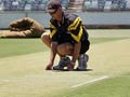 WACA pitch in going to help team india!