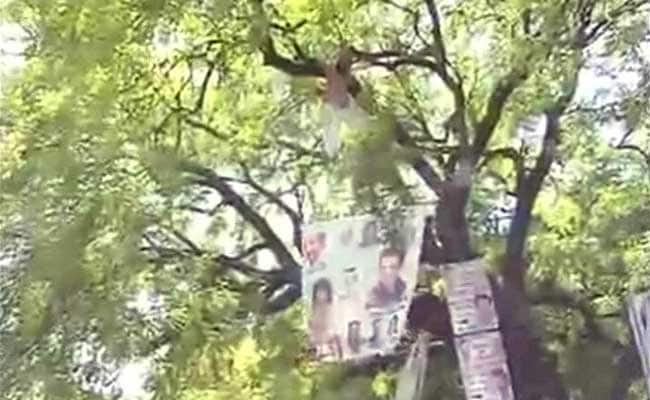 Farmer From Rajasthan Hangs Himself at AAP Rally