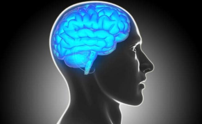 Therapy Linked To Brain Activity In Personality Disorder