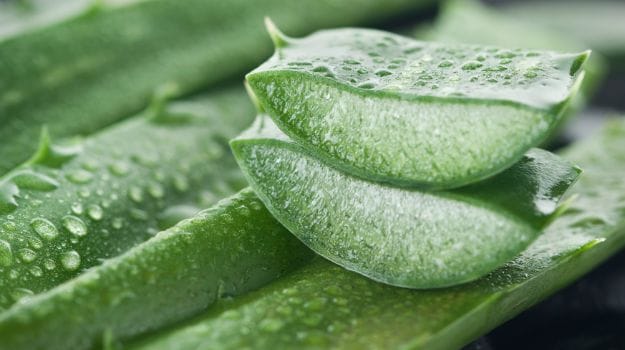 Amazing Benefits of Aloe Vera for Hair, Skin and WeightLoss  NDTV 