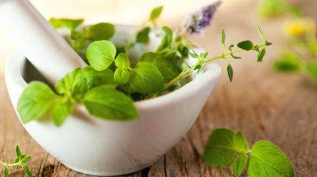 Flavour Boosters: 5 Ayurvedic Herbs We Must Have in Our Kitchen