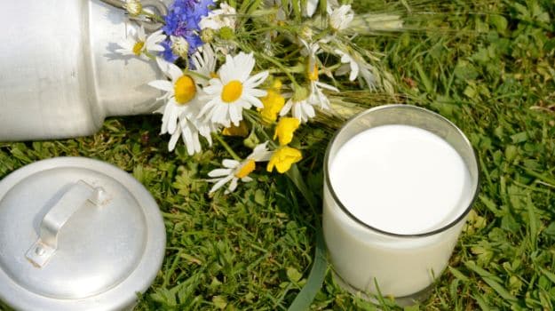 Raw Milk, Toned Milk and Other Types: Which One Does Your Family Need?
