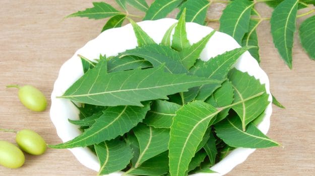 Boil Neem Leaves and Drink the Water