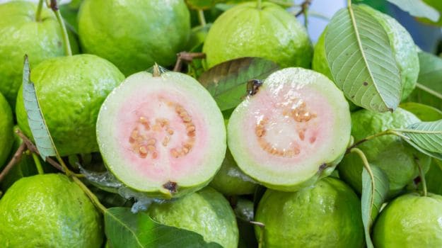 What are the health benefits of guava?