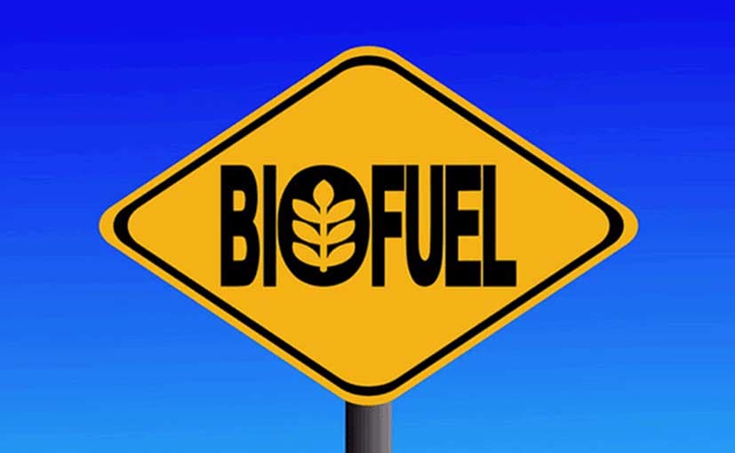 Ethanol Biofuel: How It Compares to Fossil Fuel