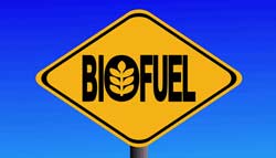 Ethanol Biofuel: How It Compares to Fossil Fuel
