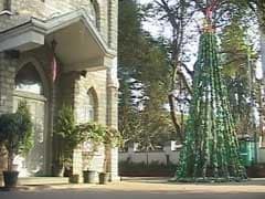 In Bengaluru, An Extra Green Christmas Tree