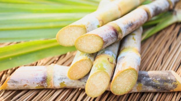 Fresh Sugarcane