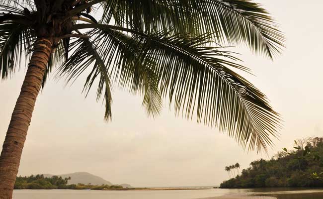 Three Indian Beaches Among Asia's Top 10: Survey