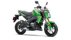 Kawasaki Z125 Pro Introduced