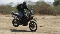 Triumph Conducts Tiger Training Academy in Pune