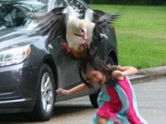 bird-attack_240x180_61462361431.jpg