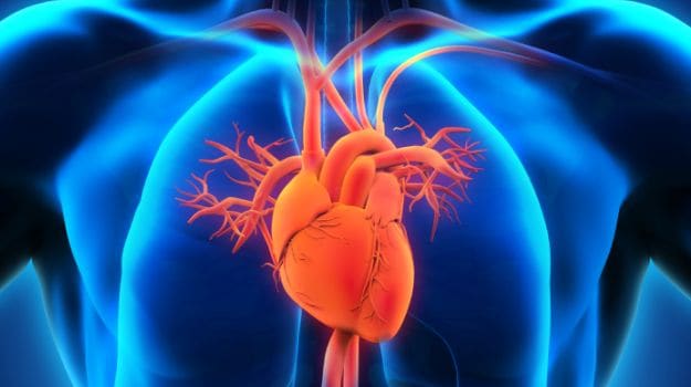 Fatty Liver May Increase Heart Disease, Mortality