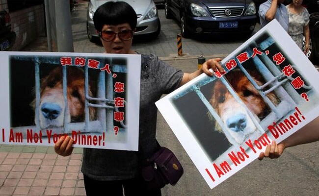 China City Holds Dog-Meat Eating Festival Despite Protests