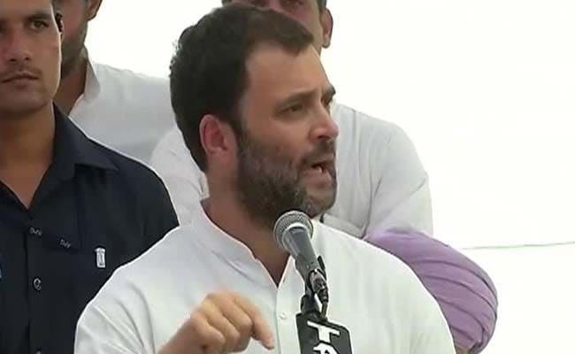 Can End Punjab's Drug Problem In A Month If We Come To Power: Rahul Gandhi