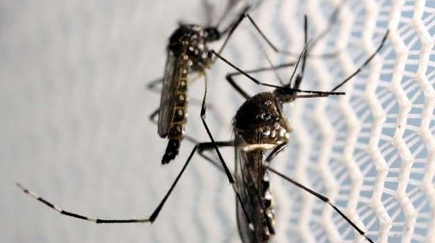 Andhra Pradesh Government Aims to Make State Mosquito-Free in 2 years