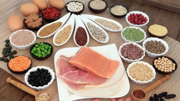 Protein In Diet Importance Of Marketing