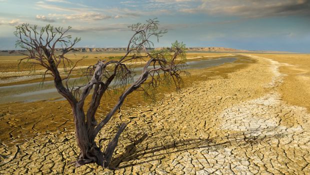 Climate Change Affects Nearly All Life on Earth