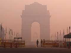 Runners Dejected As Pollution Cloud Hangs Over Delhi Half-Marathon