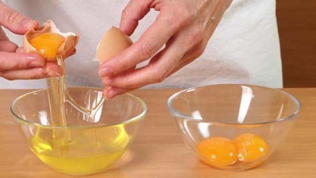 egg yolk 620