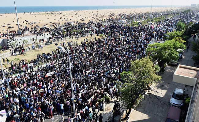 Image result for Marina Beach after Jallikattu protest