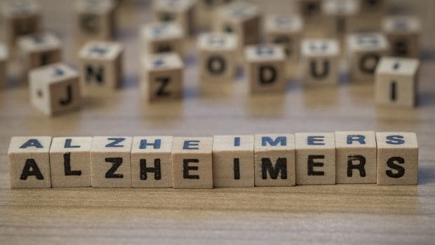 Gut Bacteria May Lead to the Development of Alzheimer's Disease