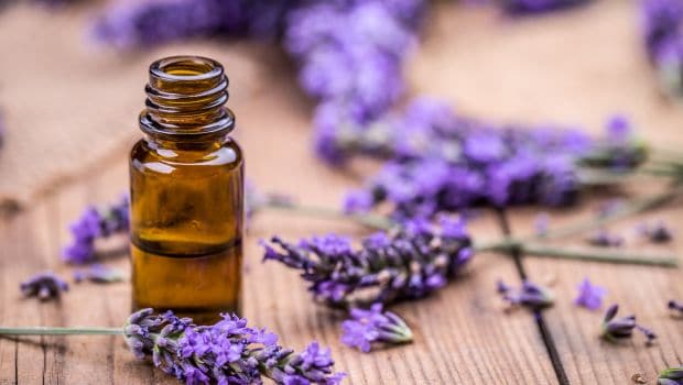 8 Incredible Lavender Oil Benefits for Your Body, Mind and Soul