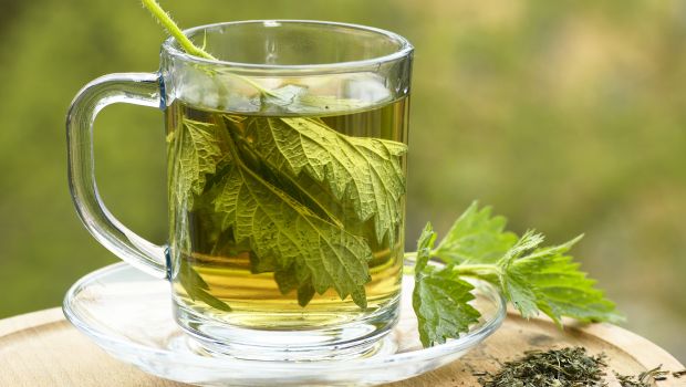 8 Health Benefits of Nettle Tea: Flush Out Toxins With This Detox Drink