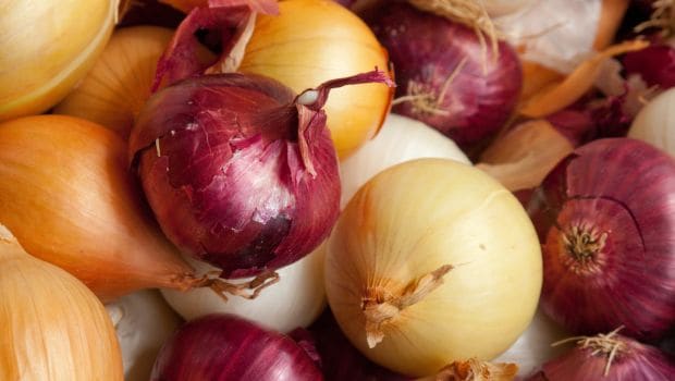 types onion 620