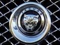 JLR's Special Division to Unveil new Jaguar Model at the Goodwood Festival of Speed