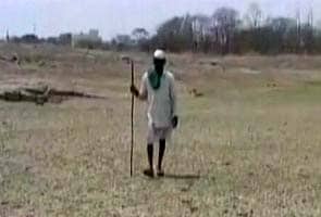 Maharashtra drought: fields parched Maharashtra drought: fields parched