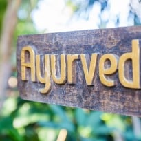 States Should Work With Centre on Ayurveda: Health Minister