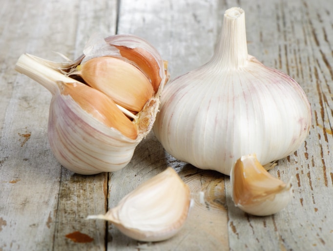 Image result for garlic