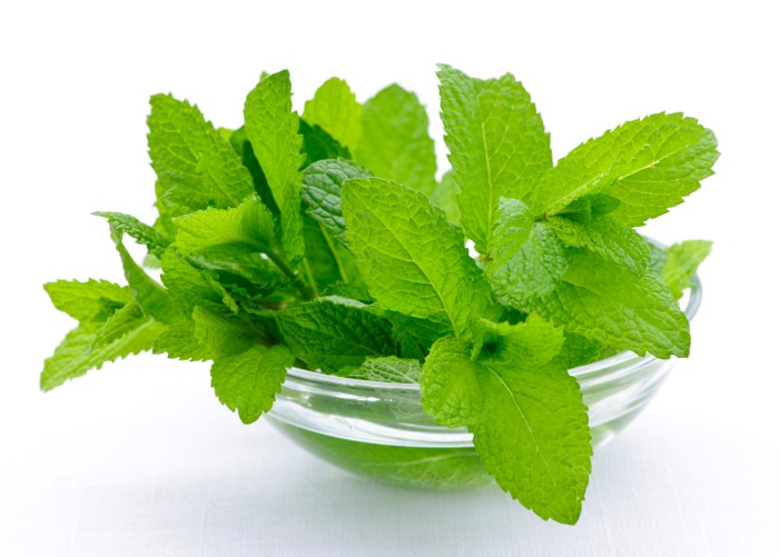 Mint Leaves