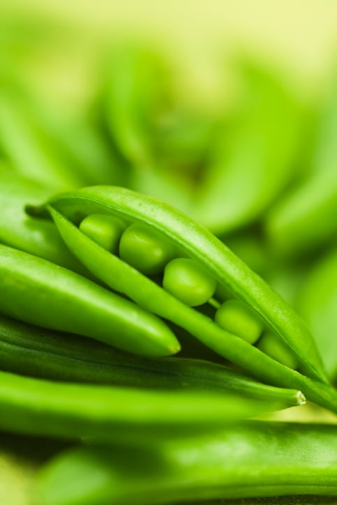 Green Peas Good For Diet