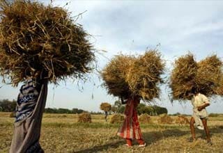 Govt may not increase subsidy on imports of DAP, MoP in 2011-12