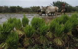 Budget 2012: Farmer bodies oppose subsidy cut in P&K fertilisers Ford at the Delhi Auto Expo in January, 2012