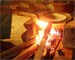 Smoke from biofuels bad for lungs