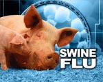 Deaths from H1N1 flu due to underlying conditions