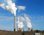 Exposure to common chemicals affects thyroid function