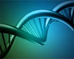 HPV test should replace the pap smear: Italian researchers