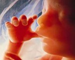 Growth in womb tied to IQ Growth in womb tied to IQ