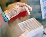 Frozen embryos better than fresh ones Frozen embryos better than fresh ones
