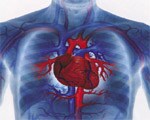 Anxiety disorders boost heart attack risk